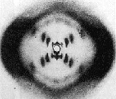 X-ray of DNA Double Helix